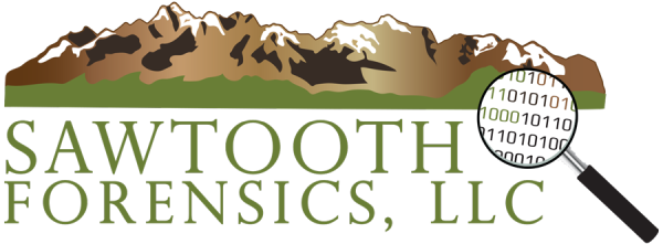 SawToothForensics logo